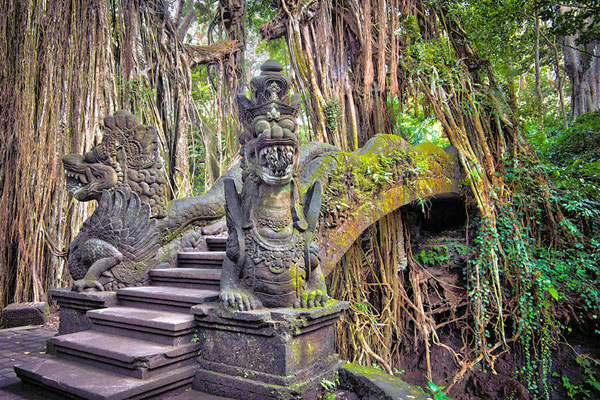 monkey forest, ubud central