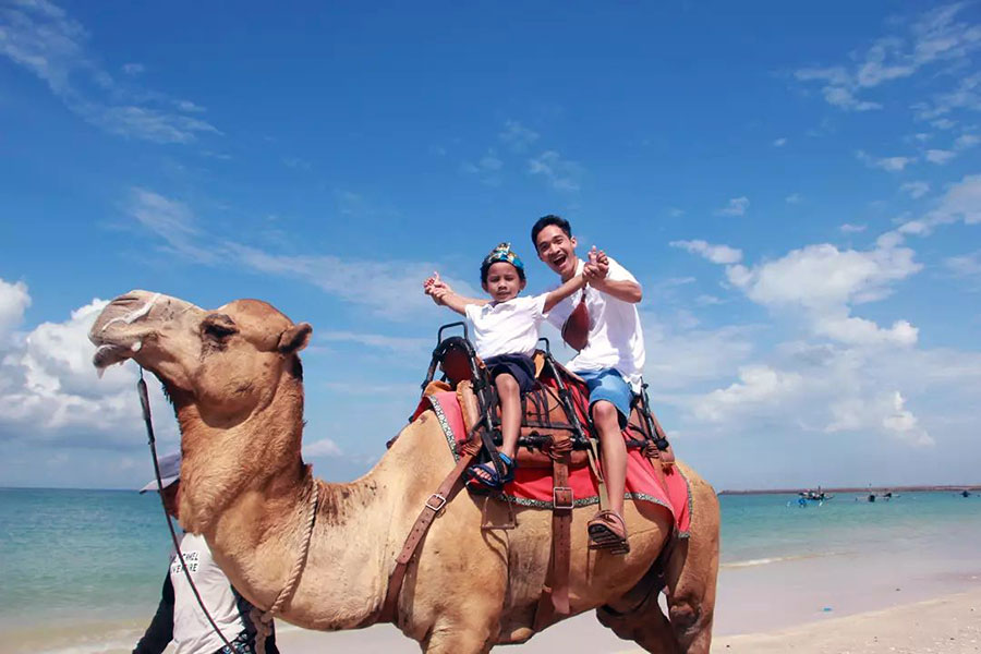 Ready to Riding with Camel Adventure